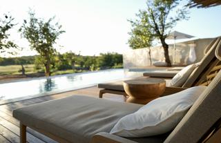 Encounter by Ongava Pool