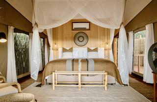 Encounter by Ongava Guest Tent