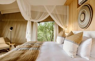 Encounter by Ongava Guest Tent