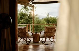 Encounter by Ongava Guest Tent