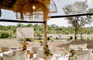 Encounter by Ongava scene