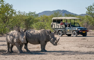 Ongava Game Reserve