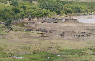 Tangulia Mara Camp