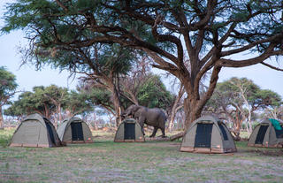 Unforgettable Bush Ways camping moments