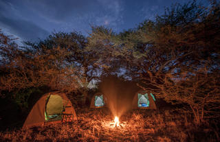 Sleeping under the stars in the various prime wildlife regions