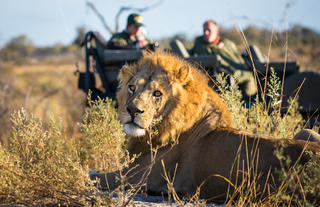 Wildlife and safari experience at Zarafa Camp