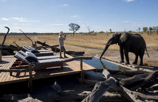 Somalisa Expeditions