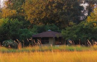 Jumbo Junction, Okavango Delta 