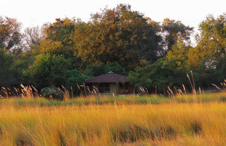 Jumbo Junction, Okavango Delta 