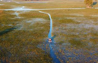 Jumbo Junction, Okavango Delta 