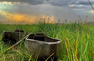 Jumbo Junction, Okavango Delta 