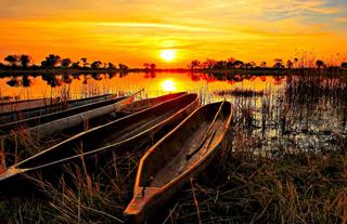 Jumbo Junction, Okavango Delta 