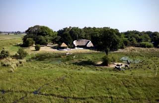 Jumbo Junction, Okavango Delta 