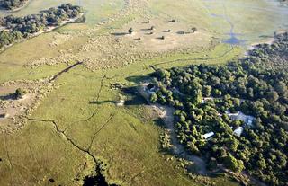 Jumbo Junction, Okavango Delta 