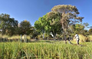 Jumbo Junction, Okavango Delta 