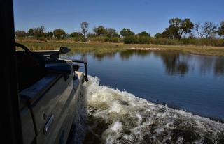 Jumbo Junction, Okavango Delta 