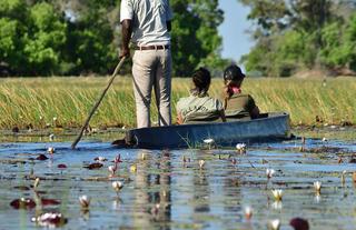 Jumbo Junction, Okavango Delta 