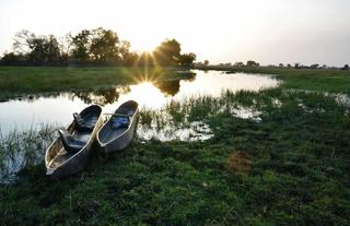 Jumbo Junction, Okavango Delta 