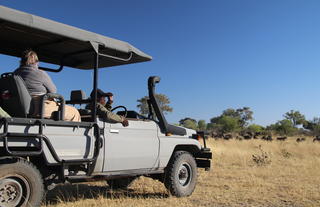 Jumbo Junction, Okavango Delta 