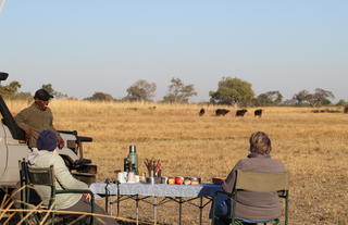 Jumbo Junction, Okavango Delta 