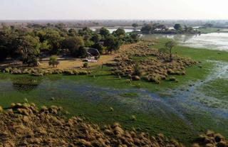 Jumbo Junction, Okavango Delta 