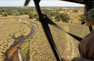 Jumbo Junction, Okavango Delta 