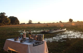 Jumbo Junction, Okavango Delta 