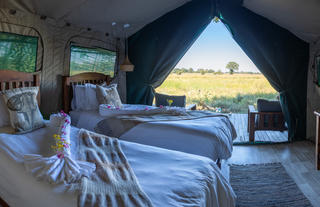 Jumbo Junction, Okavango Delta 