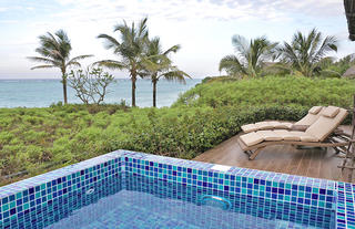 Villa private plunge pool