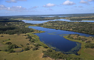 Maputo Special Reserve Mangroves