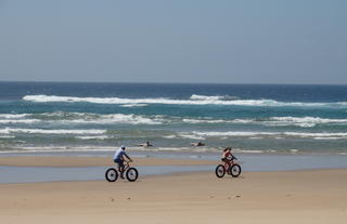 Beach Activity