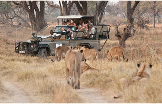 Game Drive