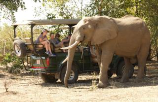 Vundu Camp game drive