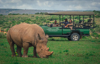 Shamwari Private Game Reserve