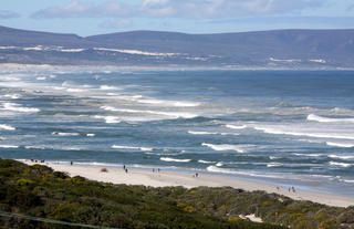 SHORT WALK TO GROTTO BEACH