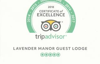 TRIPADVISOR HALL OF FAME