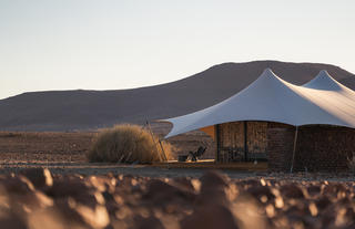 Wilderness Desert Rhino Camp