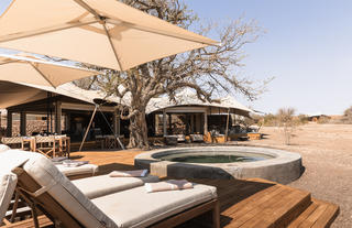 Wilderness Desert Rhino Camp