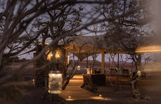 Wilderness Desert Rhino Camp