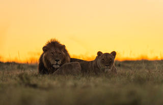 Lalibela Wildlife Reserve 