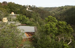 Tsala Treetop Lodge Canopy View