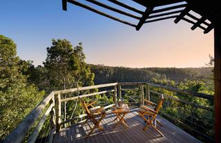 Tsala Treetop Lodge Suite View