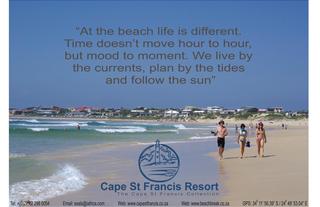 Come And Enjoy All That Cape St Francis Has To Offer!
