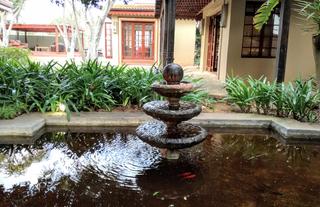 Singa Town Lodge - Garden 