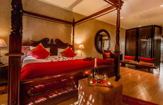 Singa Lodge - Room