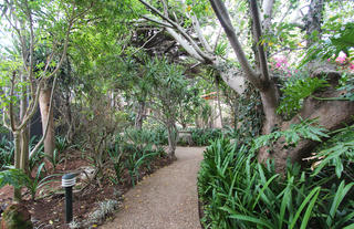Singa Lodge - Gardens