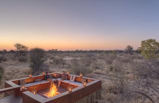 Feline Fields by Mantis fire pit