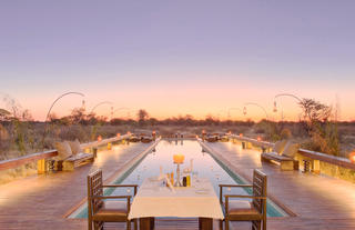 Feline Fields by Mantis lodge pool at sunset