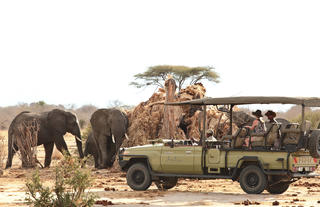 Jabali Ridge - Game Drive with Elephants Eating a Baobab