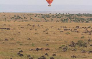 Spirit of the Masai Mara